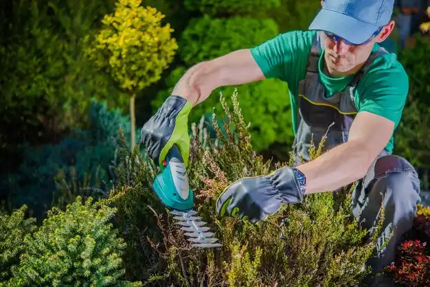 landscaping services Greeley Center